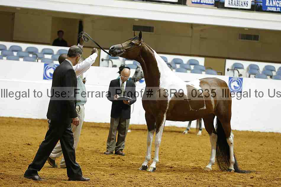 Proof 13r9_0235
