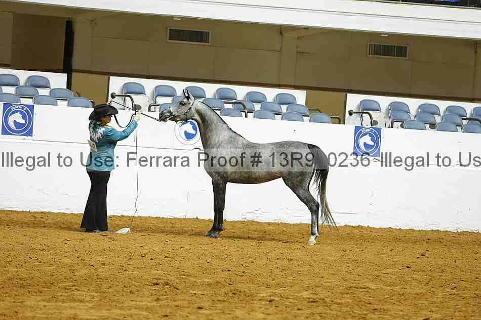 Proof 13r9_0236