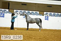 13r9_0236 proof