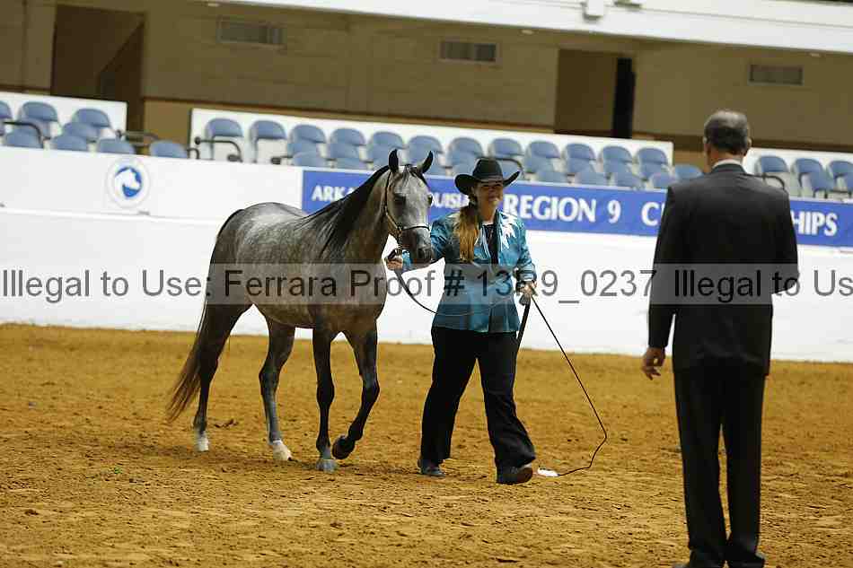 Proof 13r9_0237