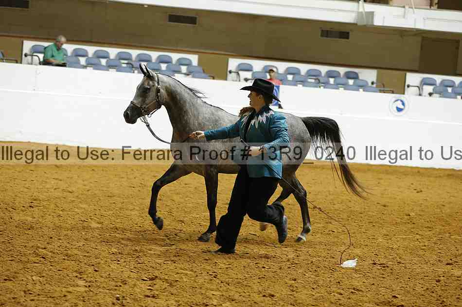 Proof 13r9_0240
