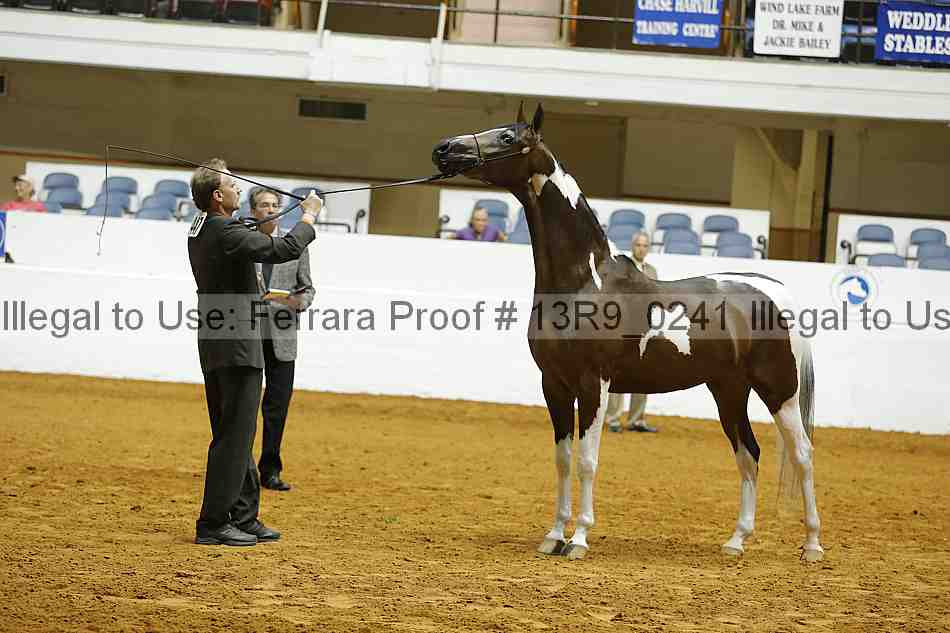 Proof 13r9_0241