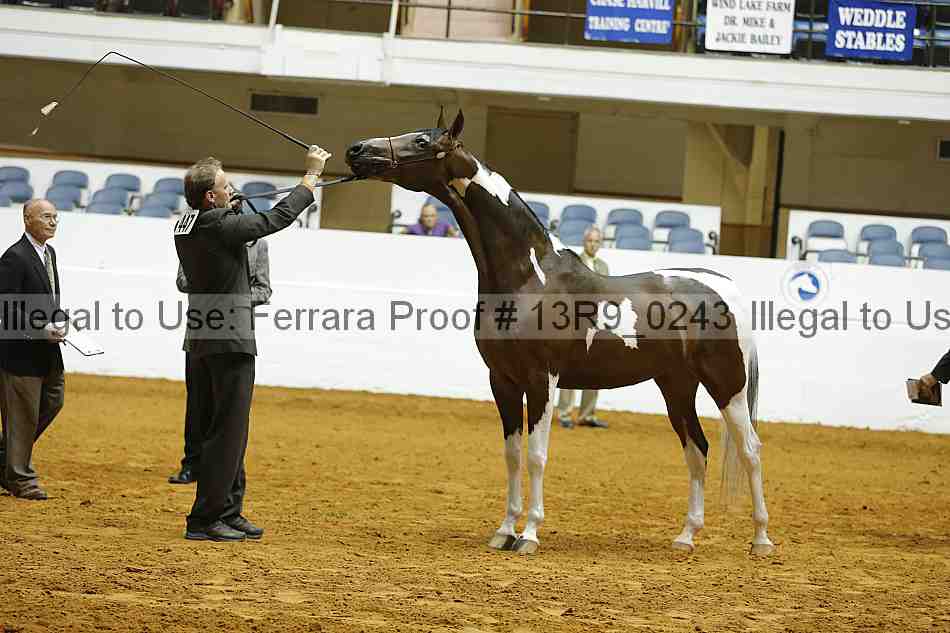 Proof 13r9_0243