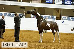 13r9_0243 proof