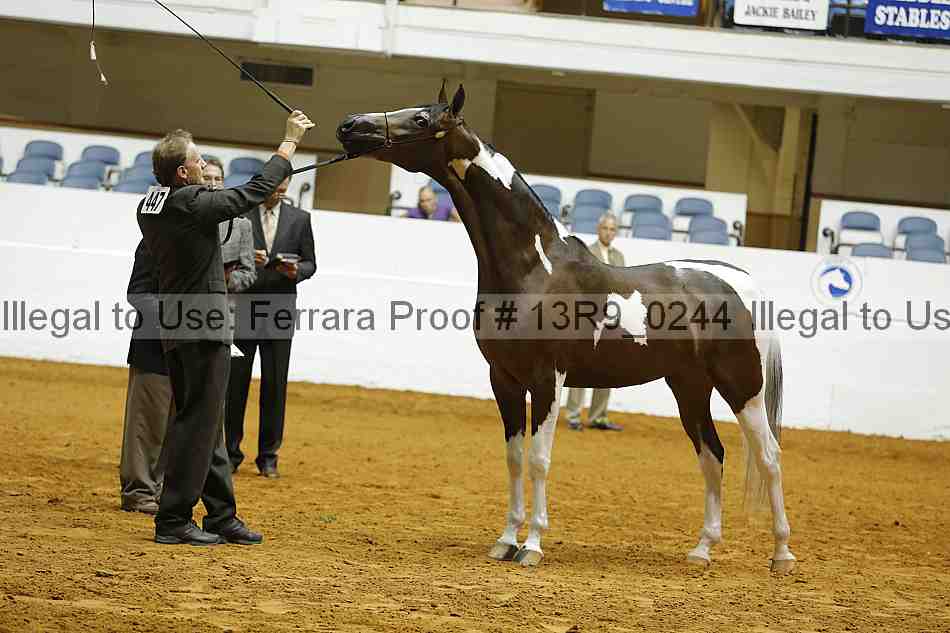 Proof 13r9_0244