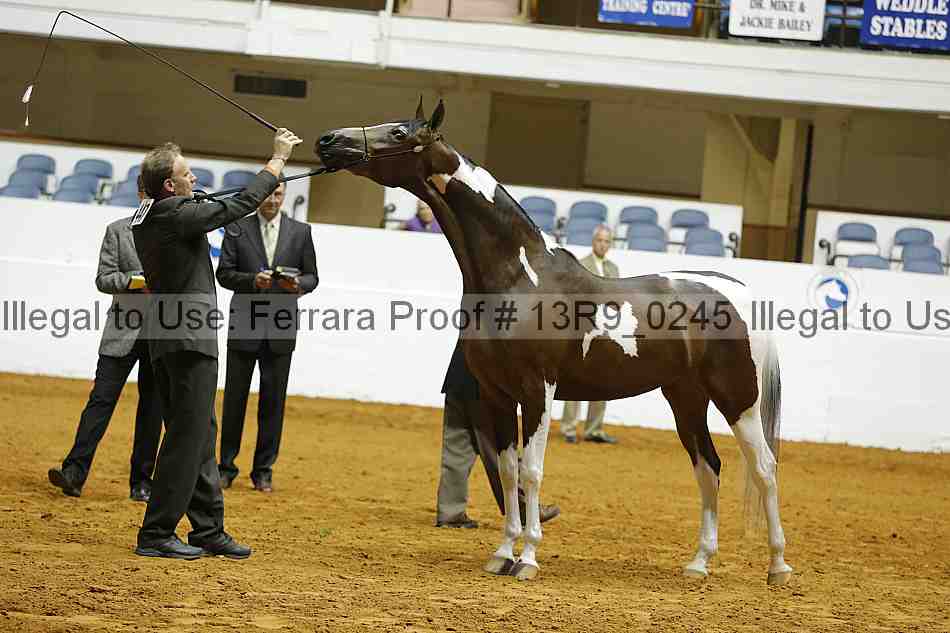 Proof 13r9_0245