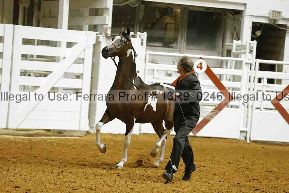 Proof 13r9_0246