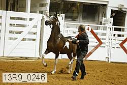 13r9_0246 proof