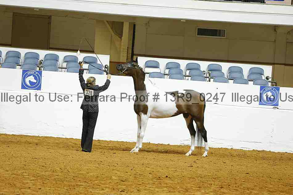 Proof 13r9_0247