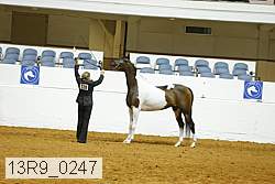 13r9_0247 proof