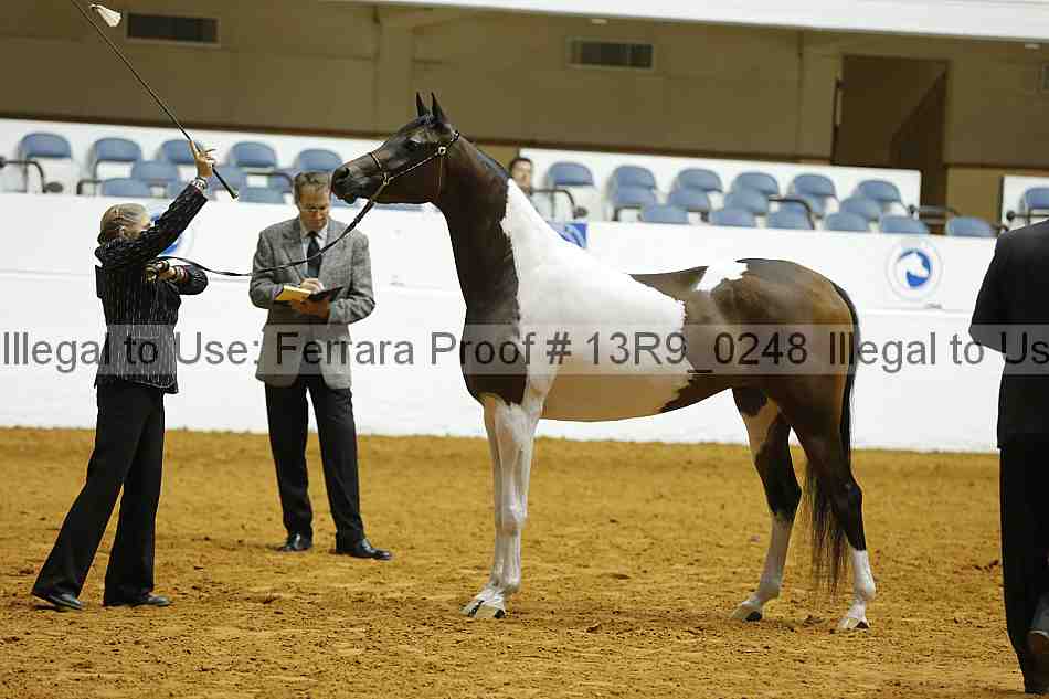 Proof 13r9_0248