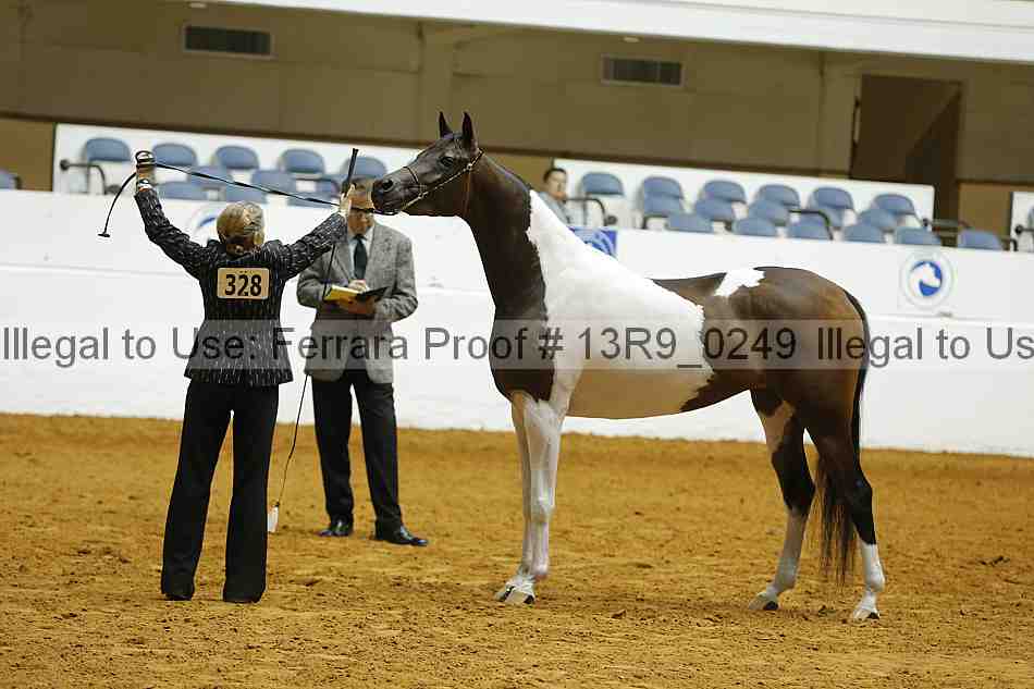 Proof 13r9_0249