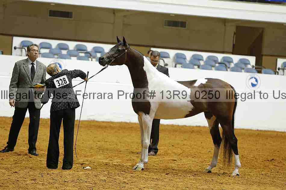 Proof 13r9_0250