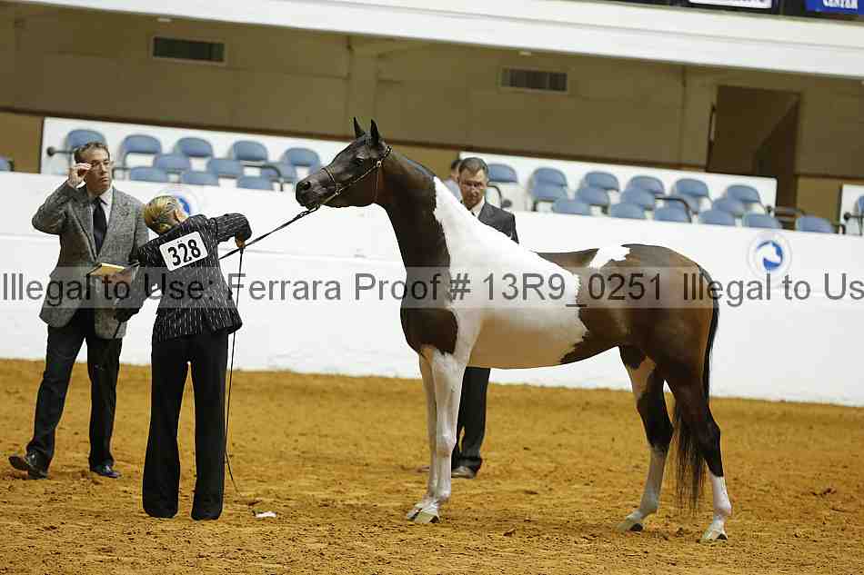 Proof 13r9_0251