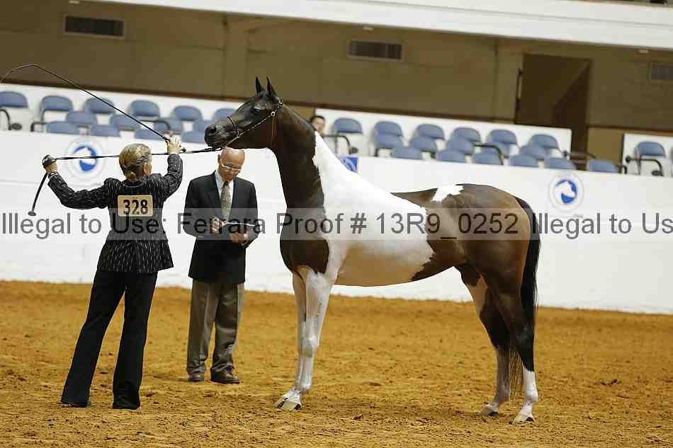 Proof 13r9_0252