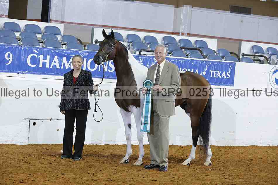 Proof 13r9_0253