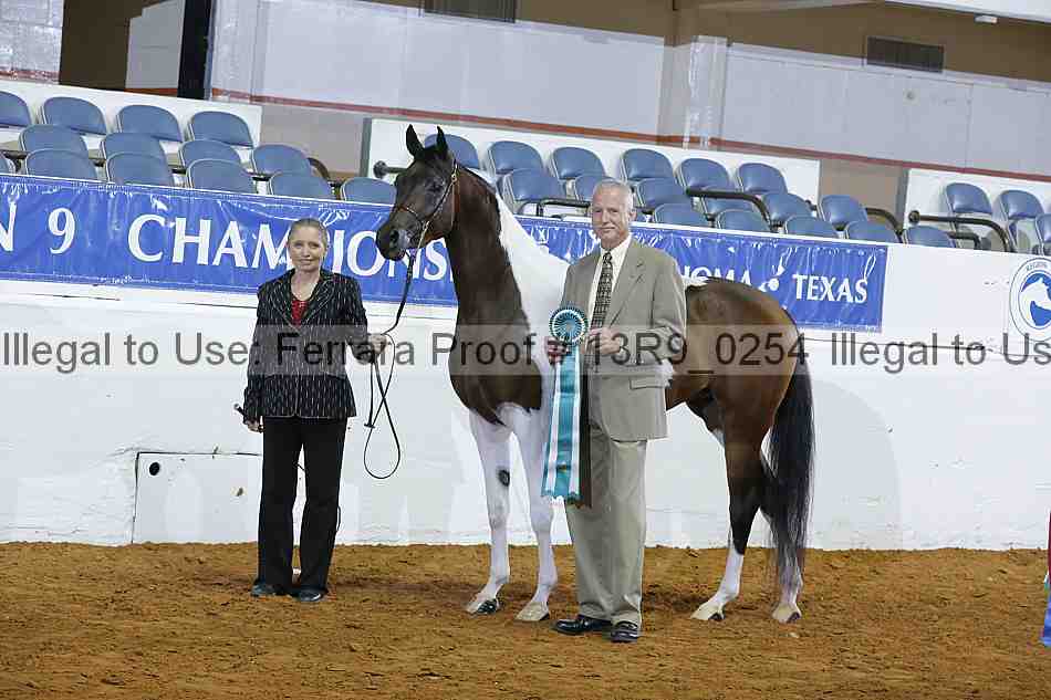 Proof 13r9_0254
