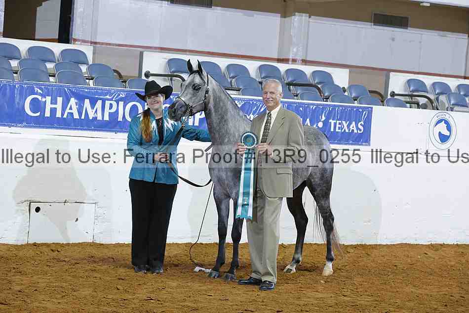 Proof 13r9_0255