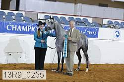 13r9_0255 proof