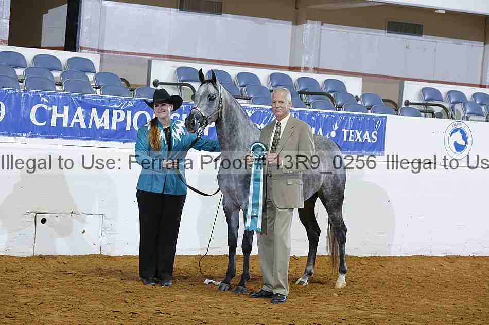 Proof 13r9_0256
