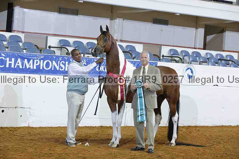 Proof 13r9_0257