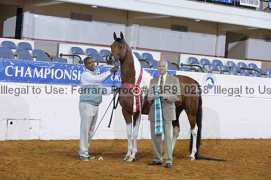 Proof 13r9_0258