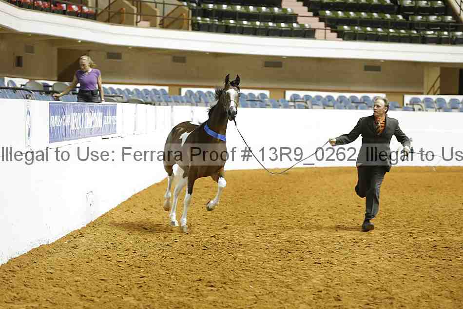 Proof 13r9_0262