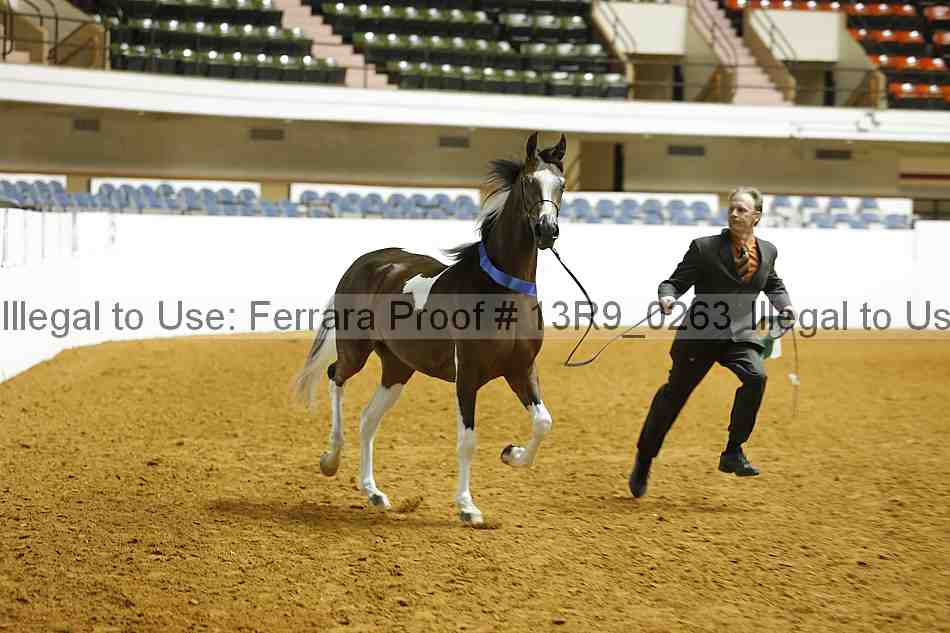 Proof 13r9_0263