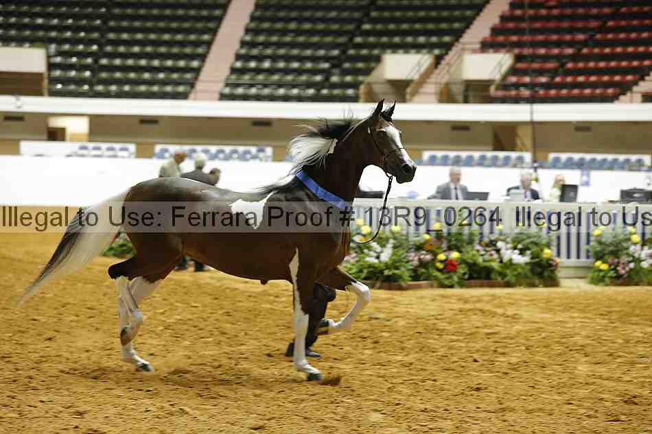 Proof 13r9_0264