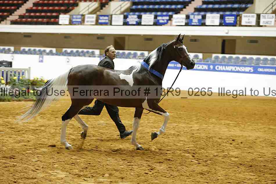 Proof 13r9_0265