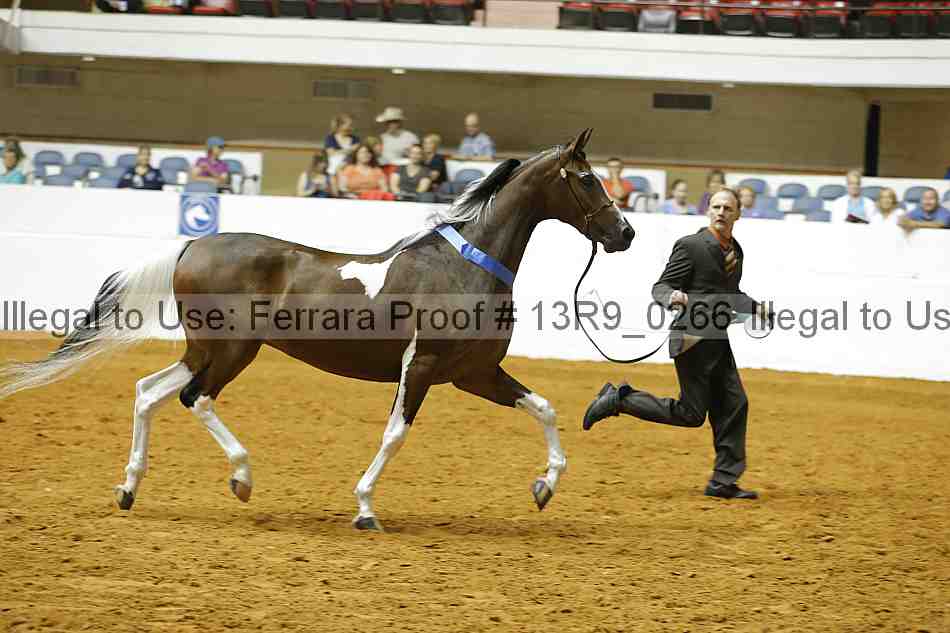 Proof 13r9_0266