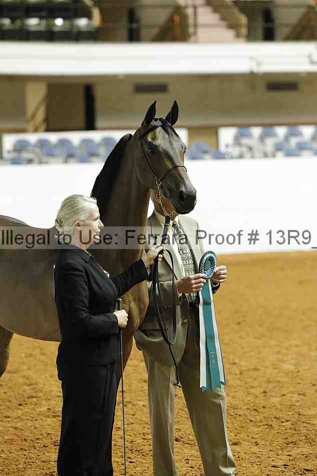 Proof 13r9_0180