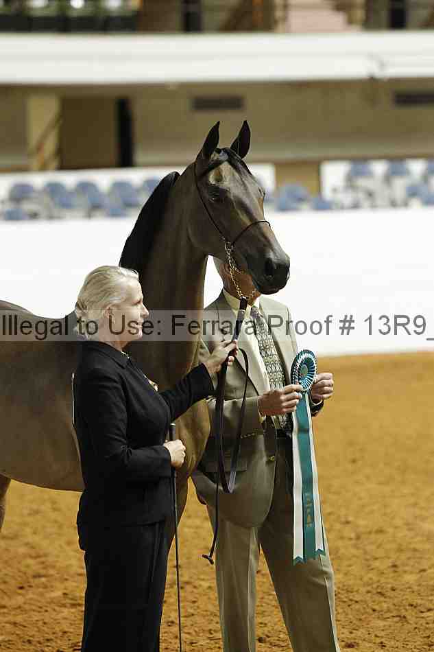 Proof 13r9_0181