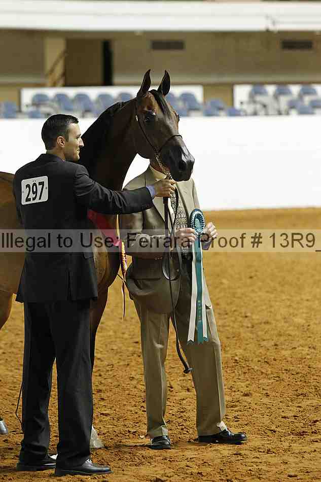 Proof 13r9_0183
