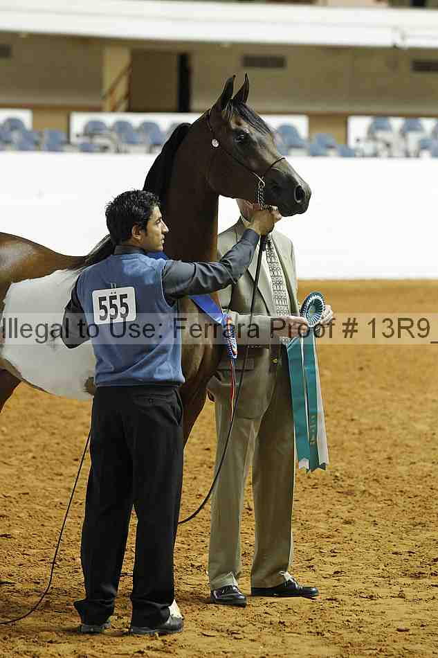 Proof 13r9_0185