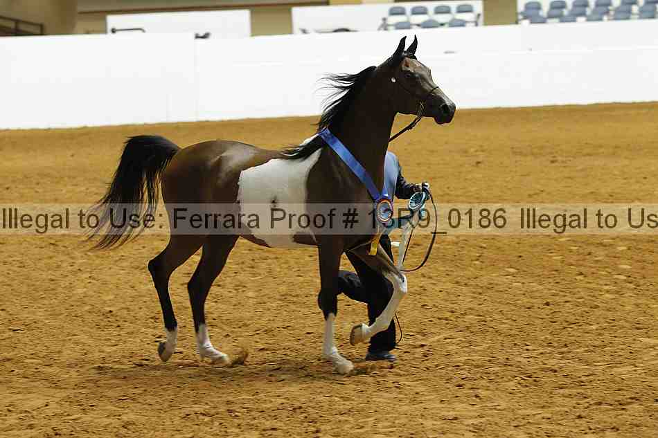 Proof 13r9_0186