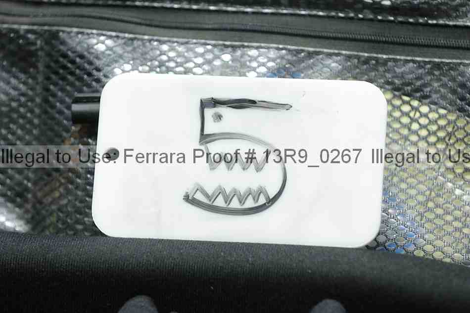 Proof 13r9_0267
