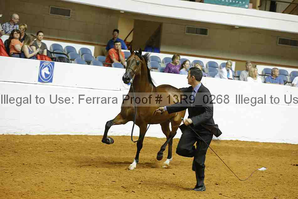Proof 13r9_0268