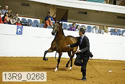 13r9_0268 proof