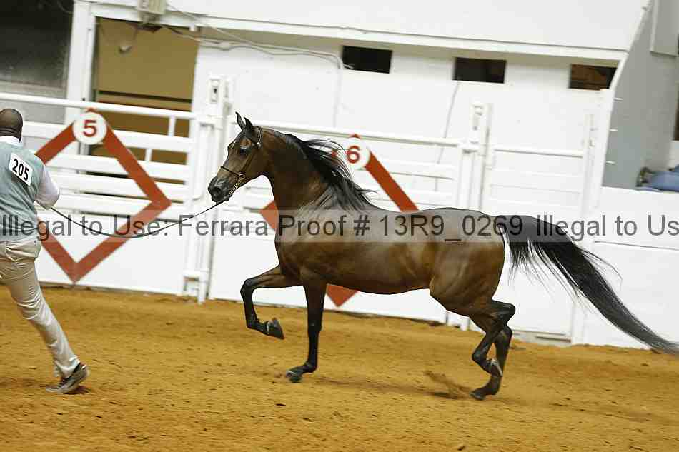 Proof 13r9_0269