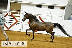 13r9_0269 proof