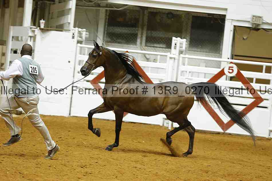Proof 13r9_0270