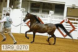 13r9_0270 proof