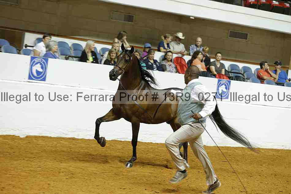 Proof 13r9_0271