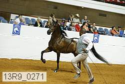13r9_0271 proof