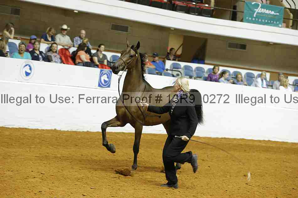 Proof 13r9_0272