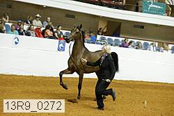 13r9_0272 proof