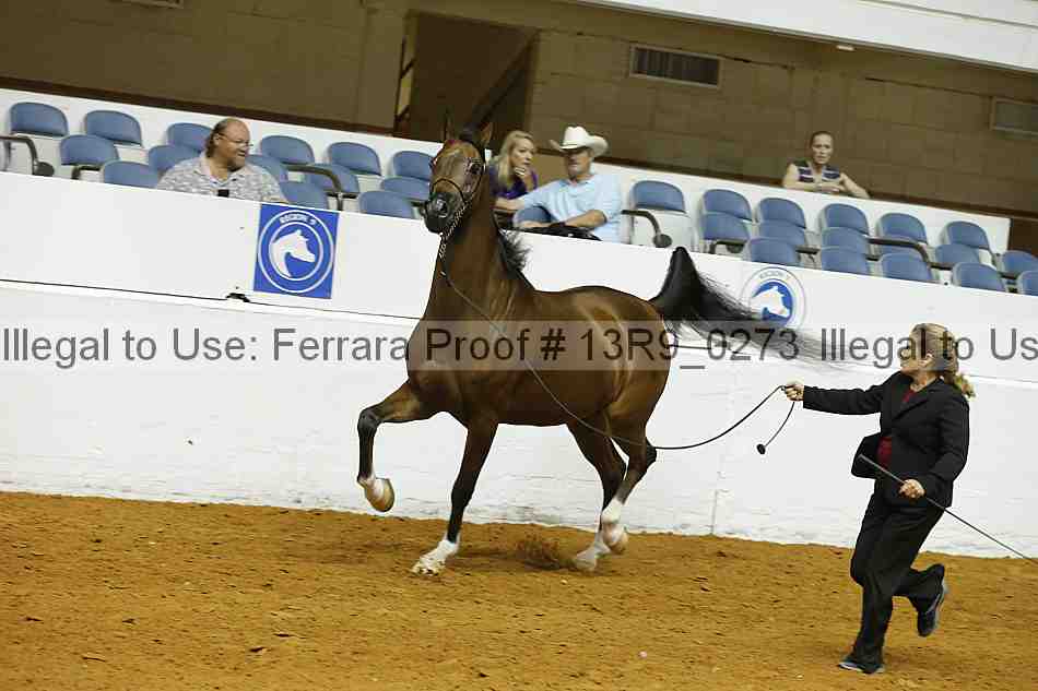 Proof 13r9_0273