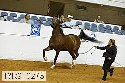 13r9_0273 proof