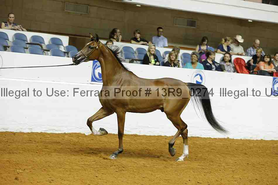 Proof 13r9_0274